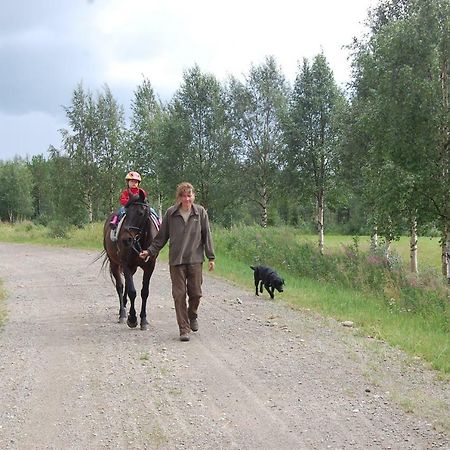 Aha Lodge Sorsele Экстерьер фото