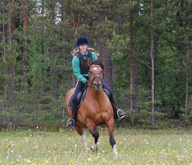 Aha Lodge Sorsele Экстерьер фото
