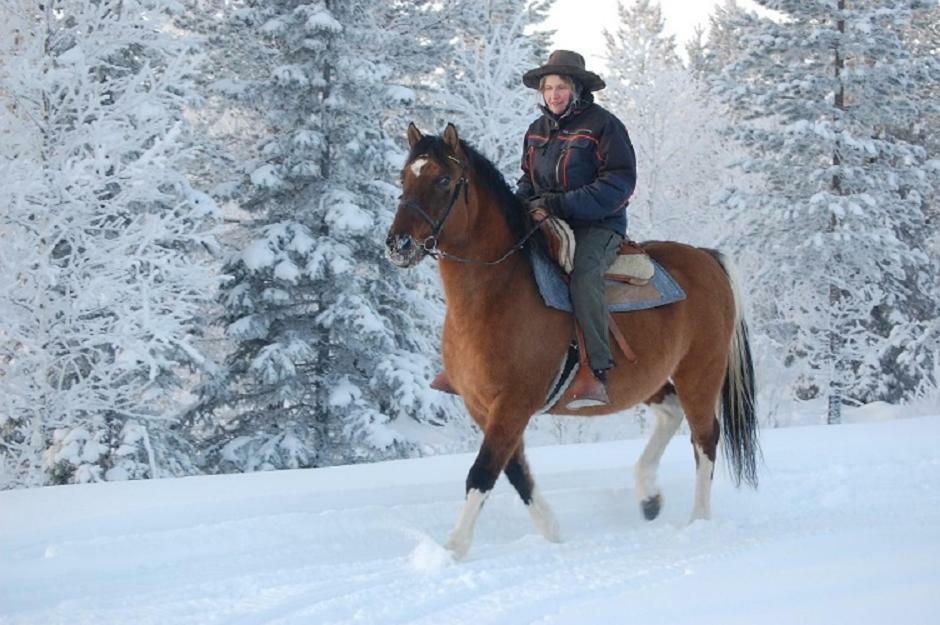 Aha Lodge Sorsele Экстерьер фото