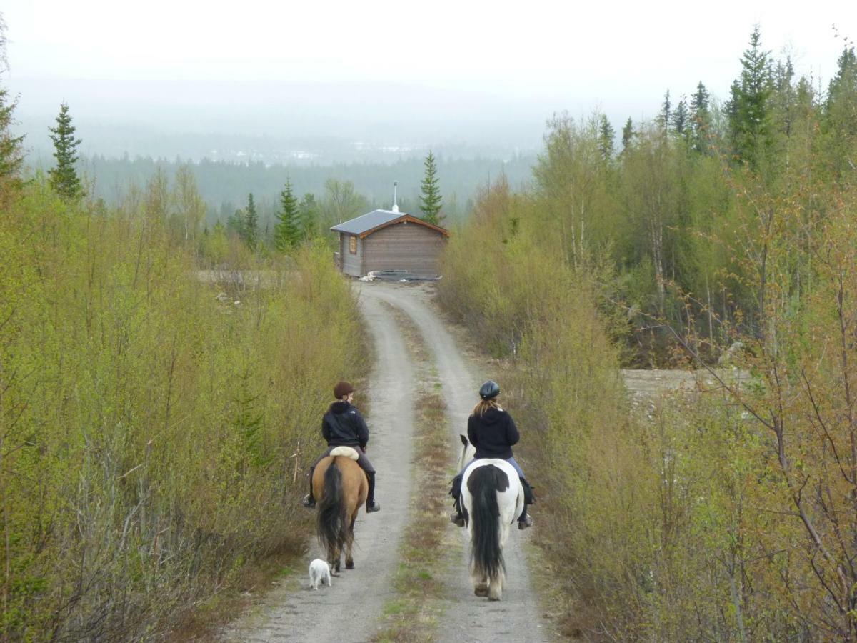Aha Lodge Sorsele Экстерьер фото