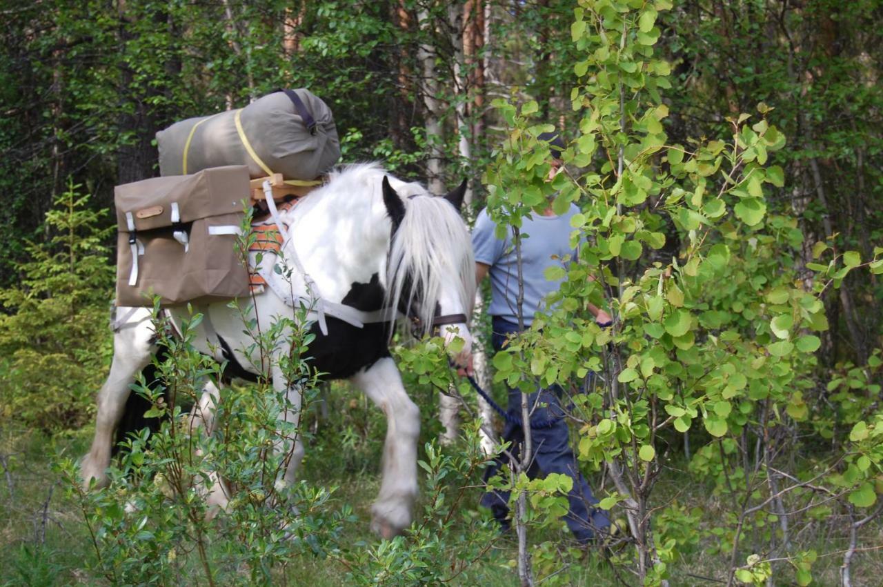 Aha Lodge Sorsele Экстерьер фото